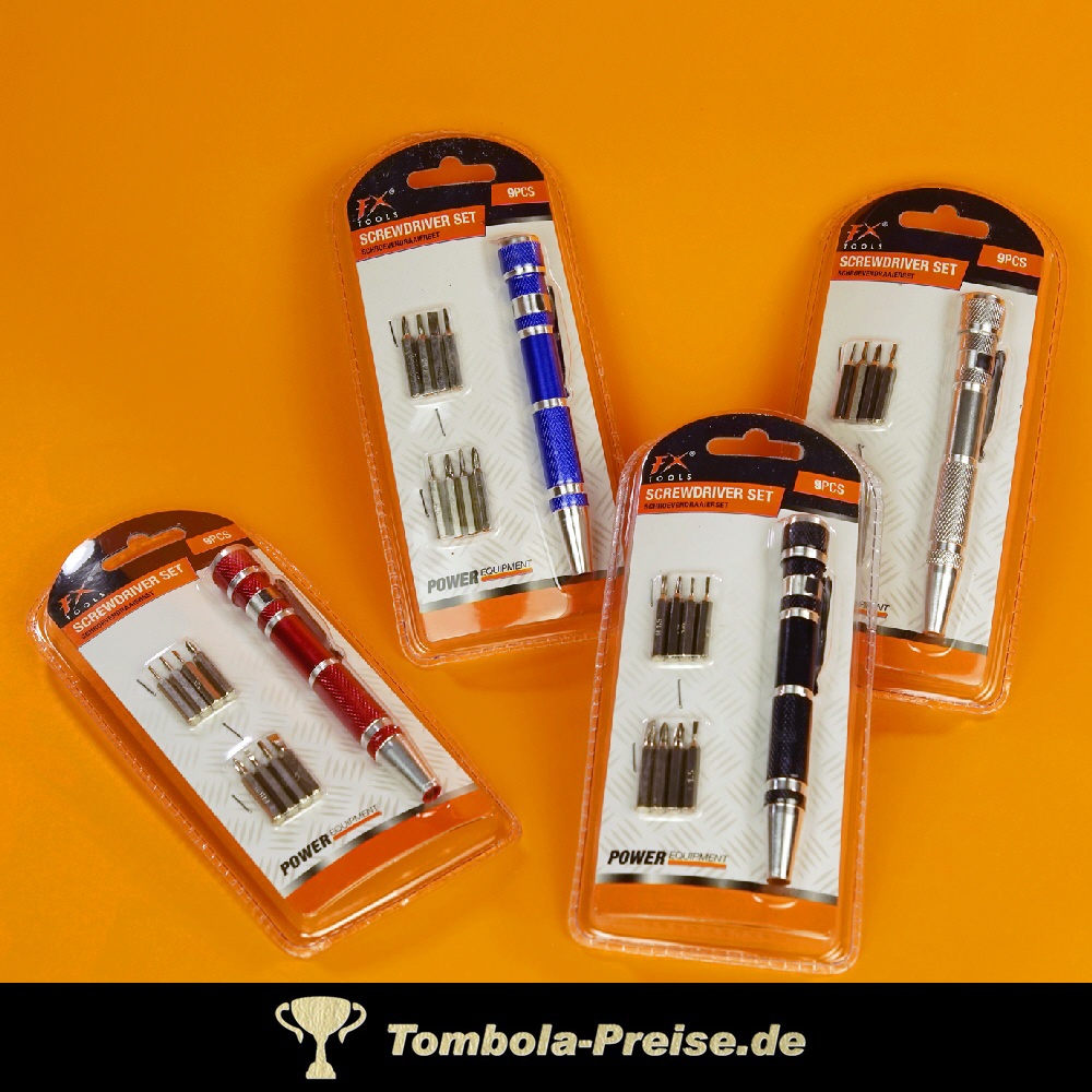 Schraubenzieher-Stift mit Aufsätzen
