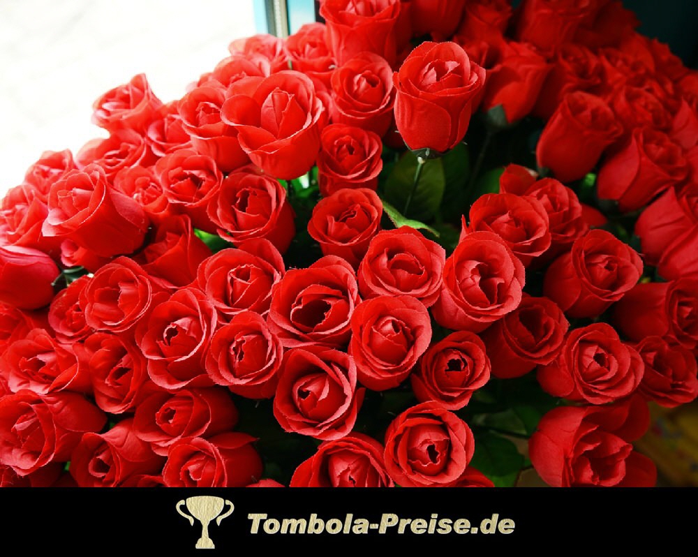 TreuePräsent Baccara-Seidenrose rot 65 cm