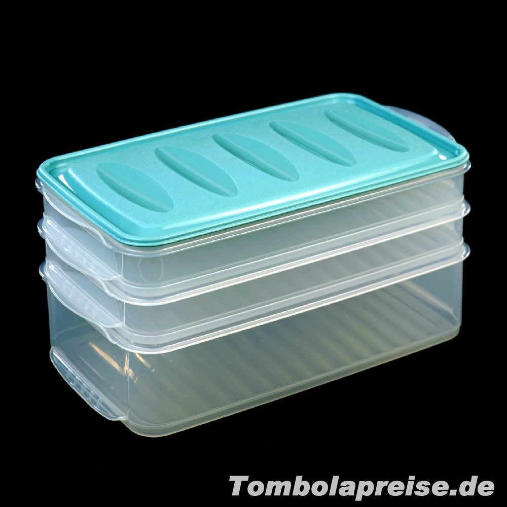 Tombolapreis Frischhaltedosen 3er-Set grün