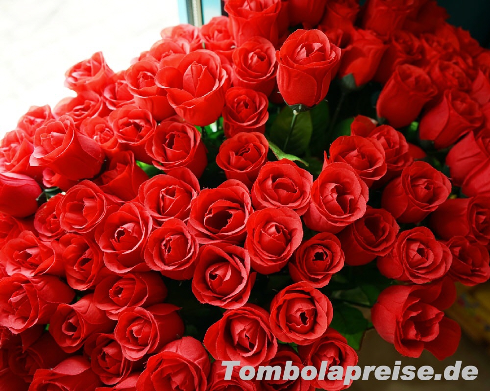 Tombolapreis Baccara-Rose rot 65 cm