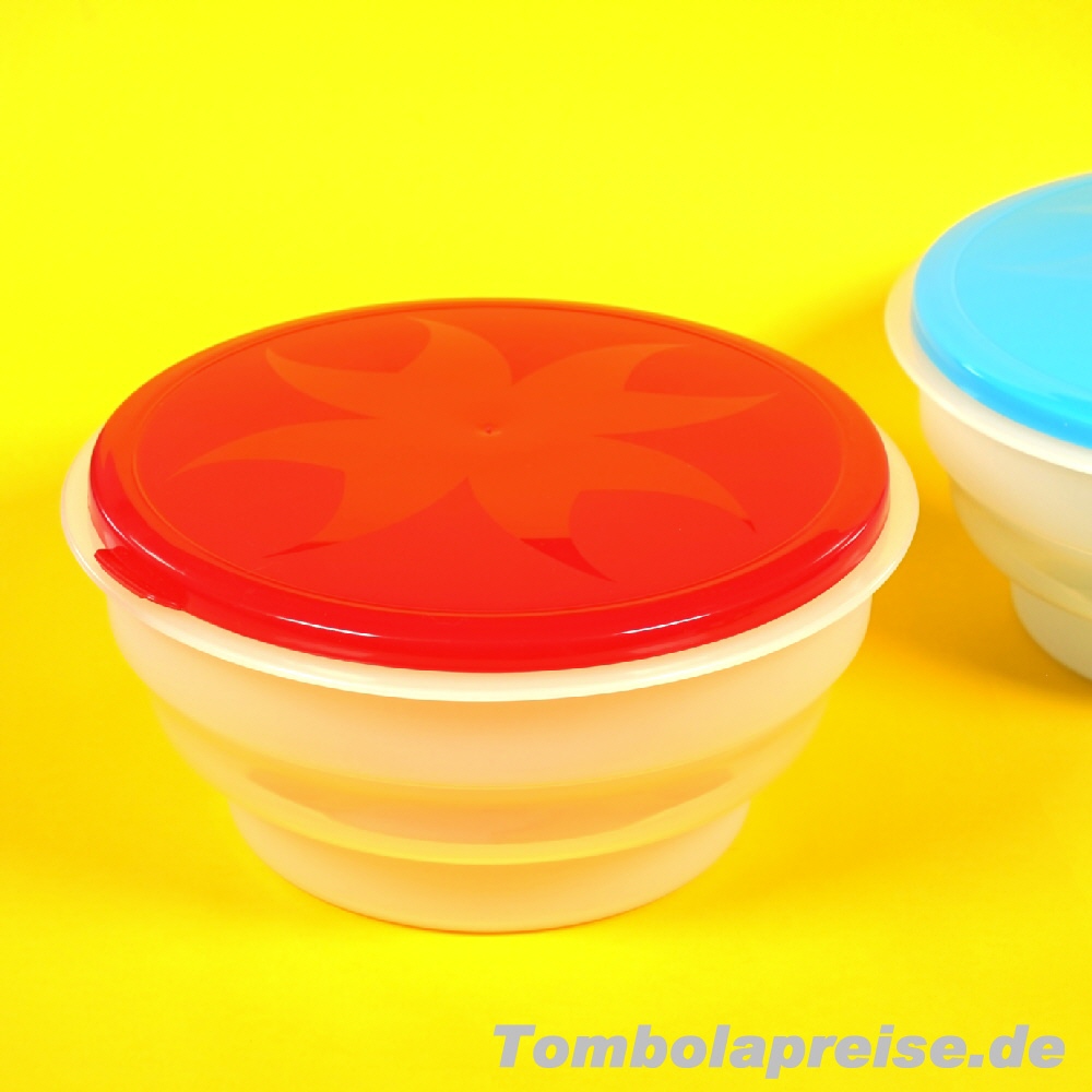 Tombolapreis Schüssel mit Deckel faltbar