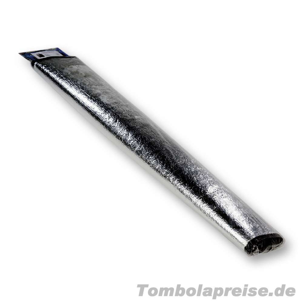 Tombolapreis Frostschutz-Abdeckung fürs Auto