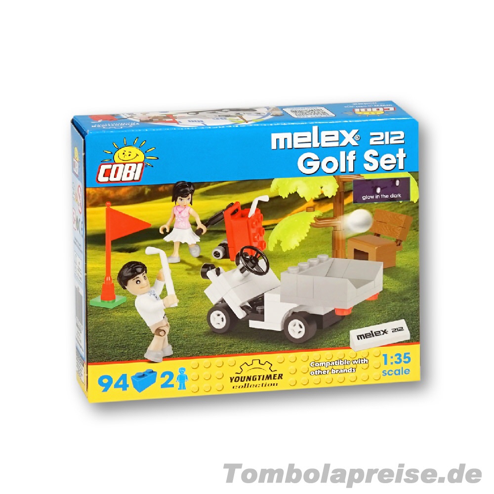 Tombolapreis Steckbausteinkasten Golfspieler