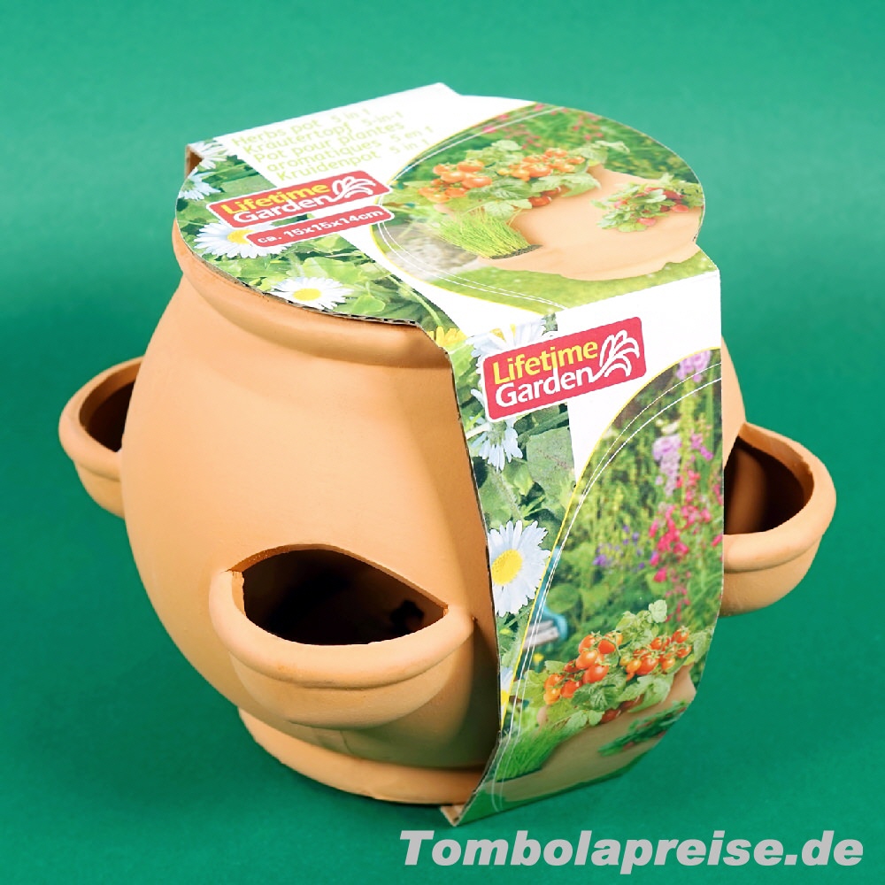 Tombolapreis Kräutertopf