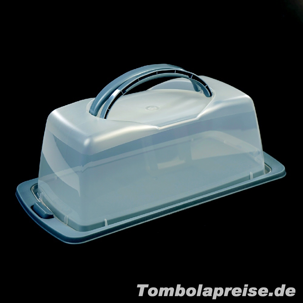 Tombolapreis Kuchenbehälter eckig blau