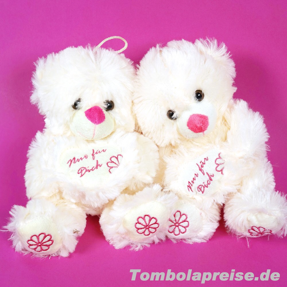 Tombolapreis Plüsch-Bären mit Herzen