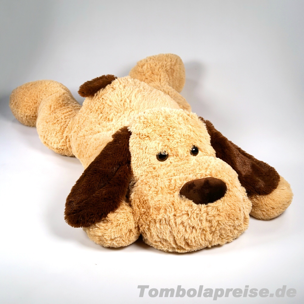 Tombolapreis liegender Plüsch-Hund