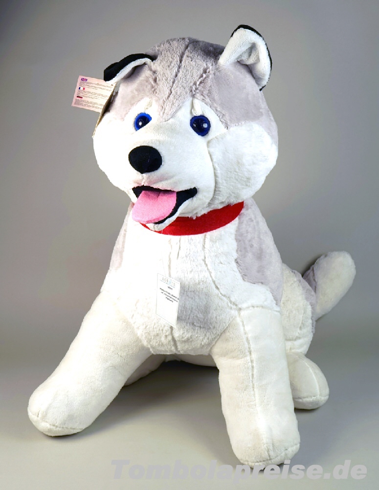 Tombolapreis Plüsch-Husky 60 cm