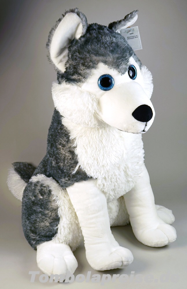 Tombolapreis Plüsch-Husky Glitzeraugen