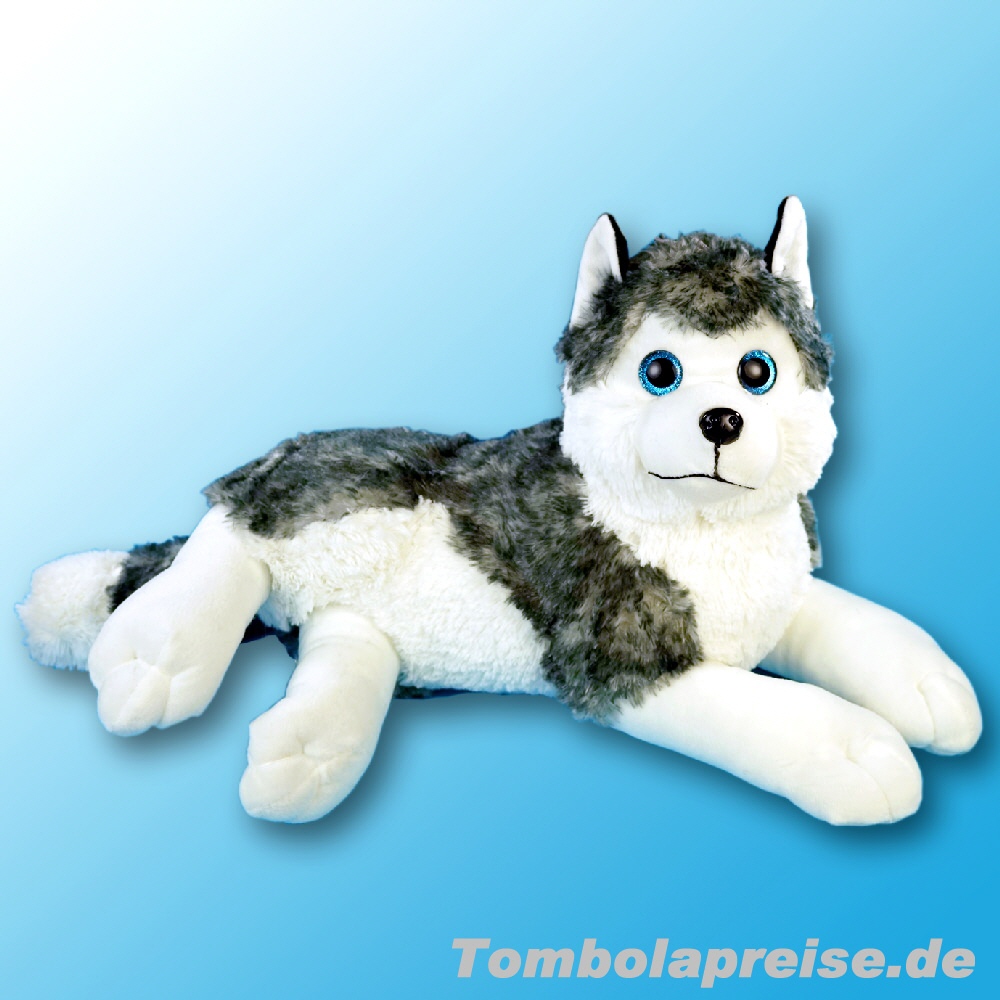Tombolapreis Plüsch-Husky liegend 45 cm