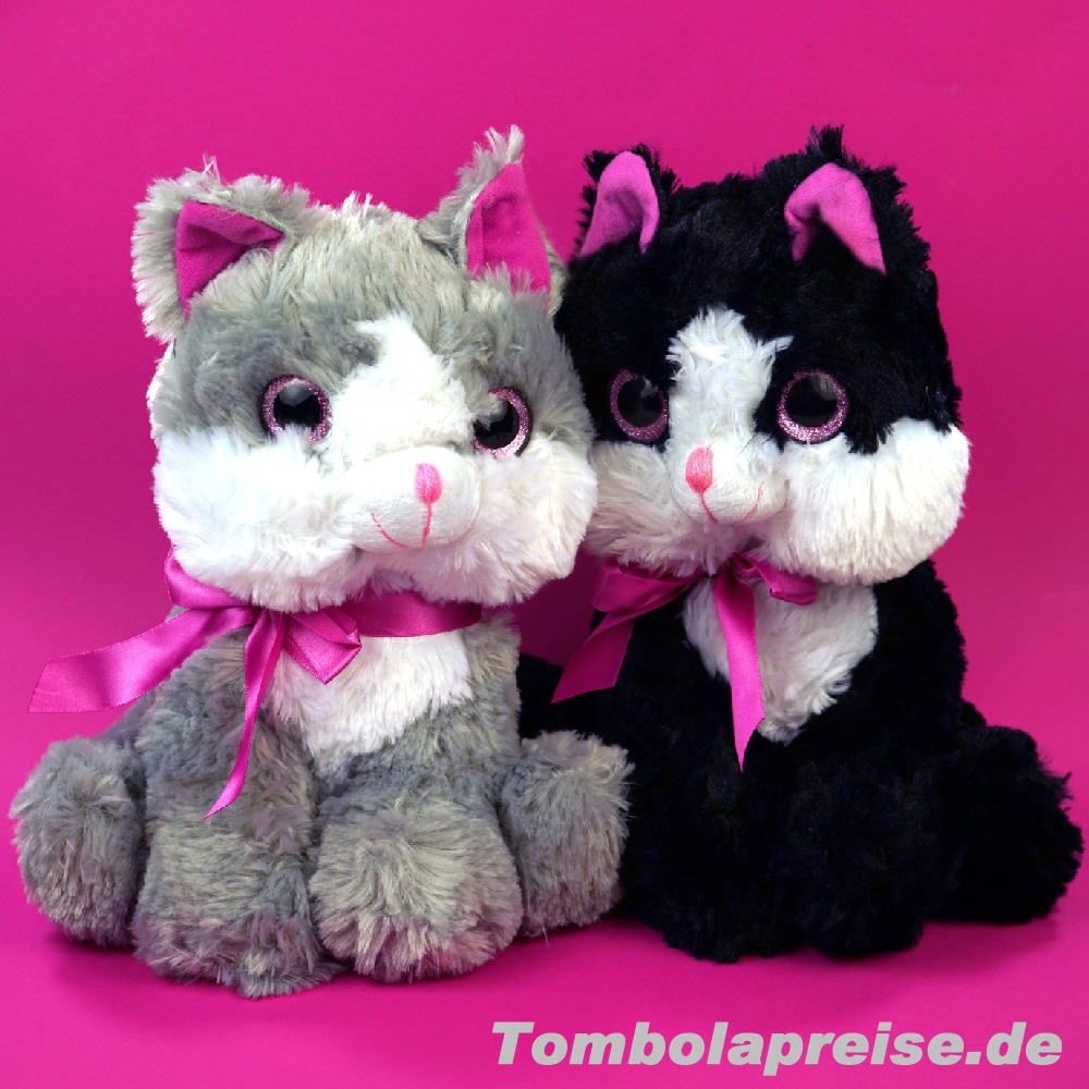 Tombolapreis Plüsch-Katzen