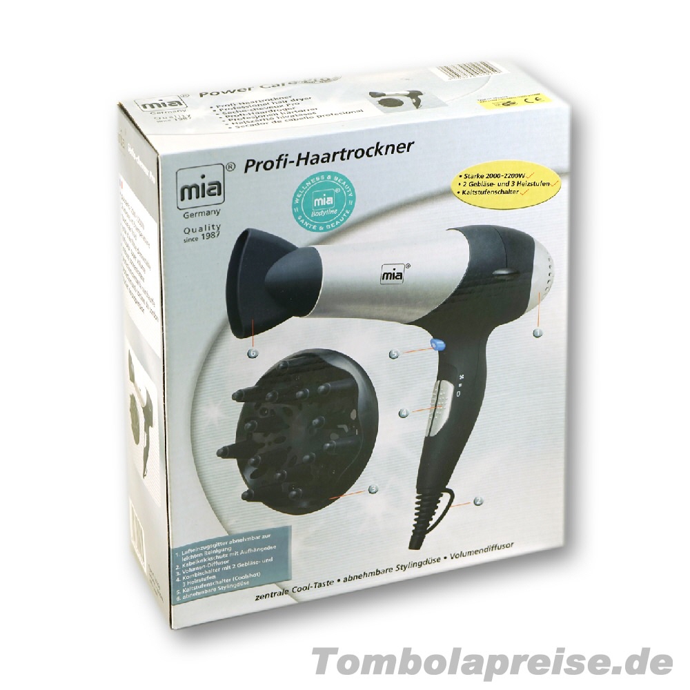 Tombolapreis Profi-Haartrockner