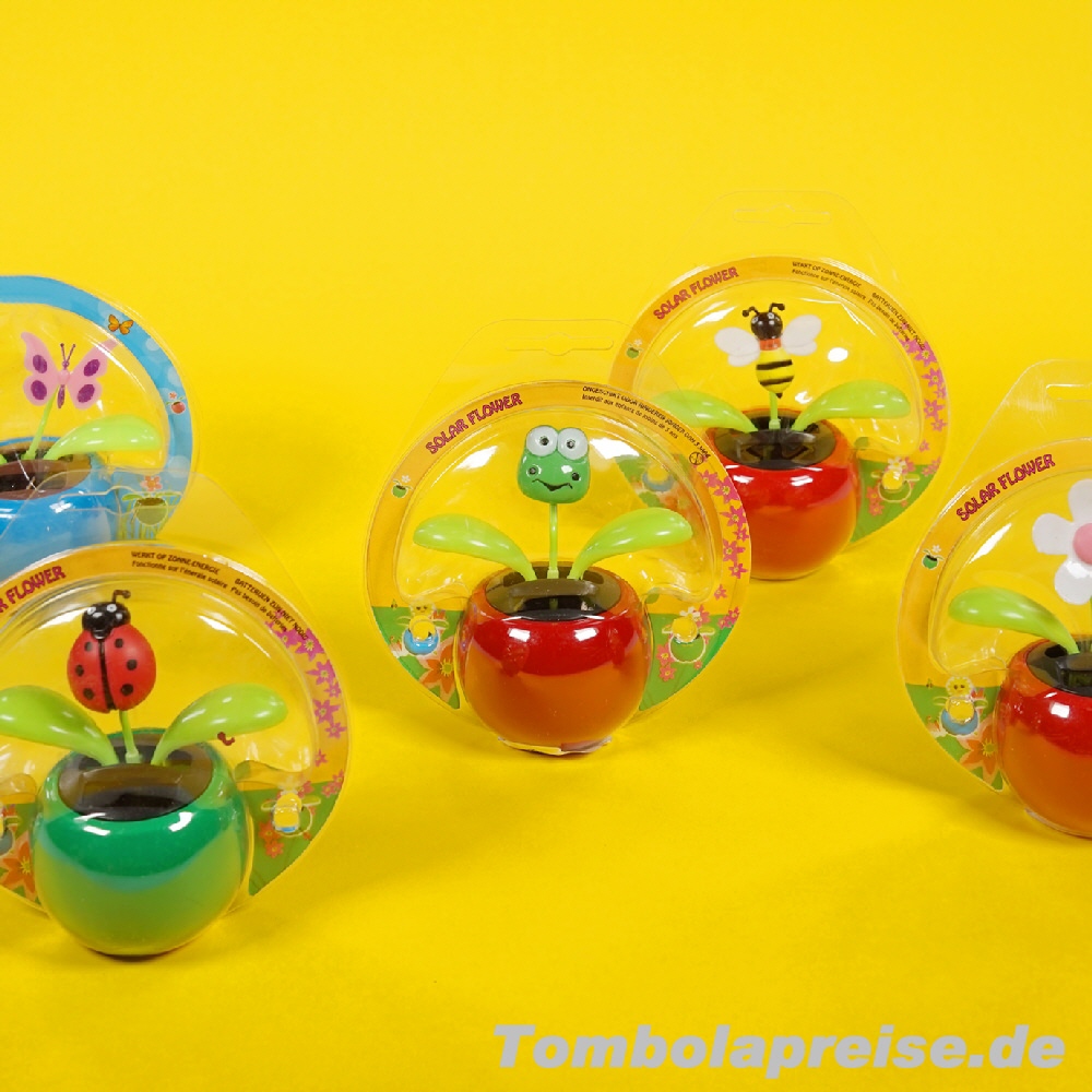 Tombolapreis Solar-Wackelblumentöpfe