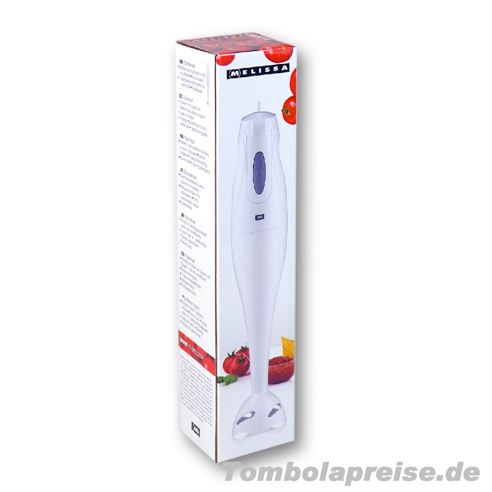 Tombolapreis Küchen-Stabmixer