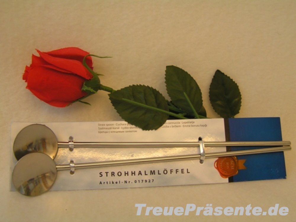 Edelstahl Trinkhalm-Löffelset