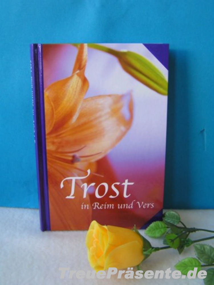Trostbuch